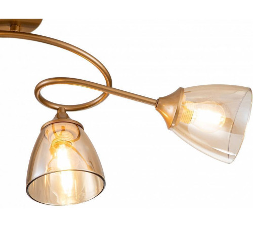 Потолочная люстра Escada Celosia 1112/4P