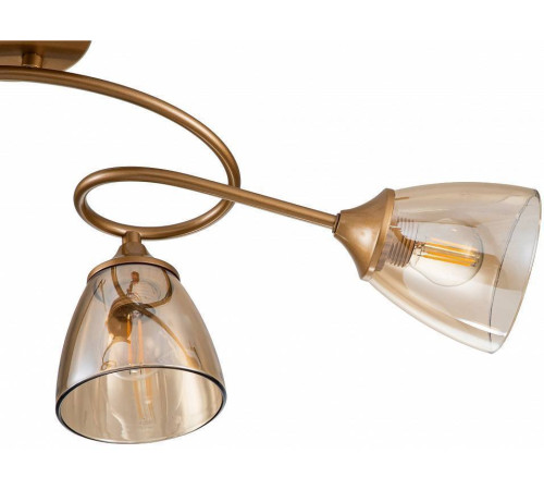 Потолочная люстра Escada Celosia 1112/4P