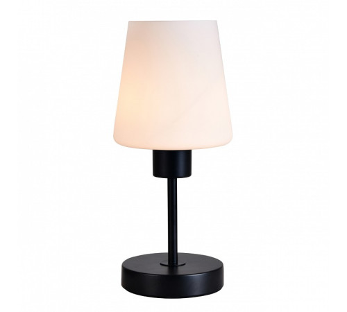 Настольная лампа декоративная Escada ES0002707