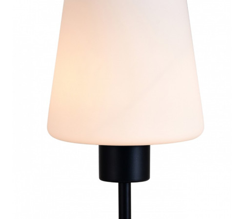 Настольная лампа декоративная Escada ES0002707