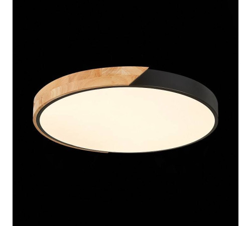 Накладной светильник EVOLUCE Festa SLE200942-01