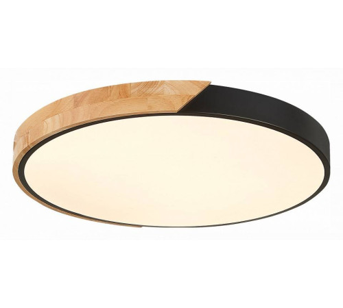 Накладной светильник EVOLUCE Festa SLE200942-01