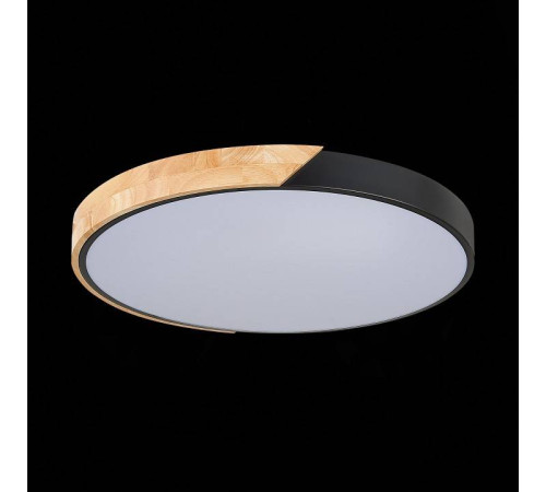 Накладной светильник EVOLUCE Festa SLE200942-01