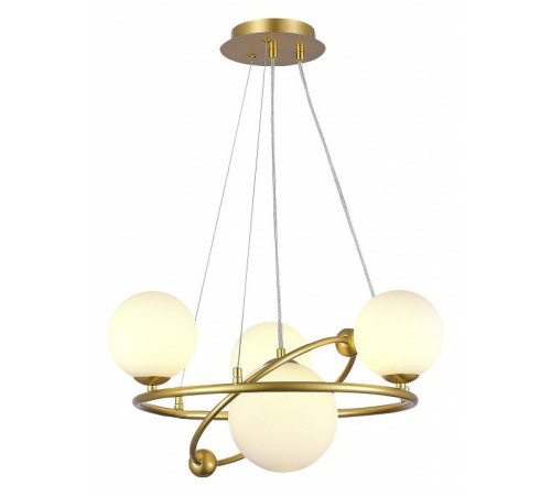 Подвесная люстра EVOLUCE Artu SLE2210-203-04