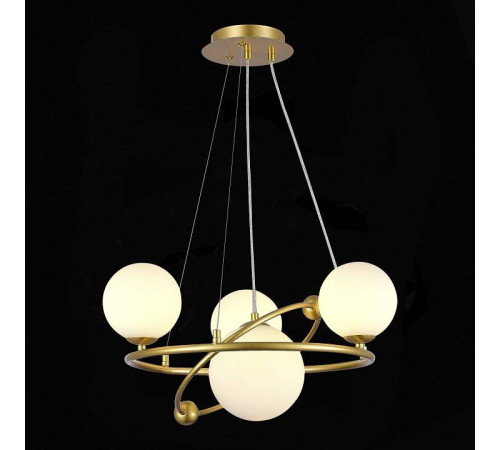 Подвесная люстра EVOLUCE Artu SLE2210-203-04