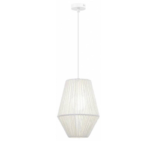 Подвесной светильник EVOLUCE ETTAN 1хE27 SLE6025-513-01
