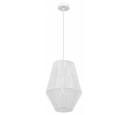 Подвесной светильник EVOLUCE ETTAN 1хE27 SLE6025-513-01