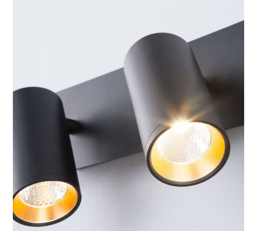 Бра Eurosvet Fleur 20066/2 LED черный/золото