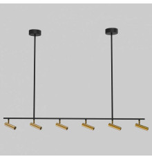 Светильник на штанге Eurosvet Epiphania 20252/6 LED черный/латунь