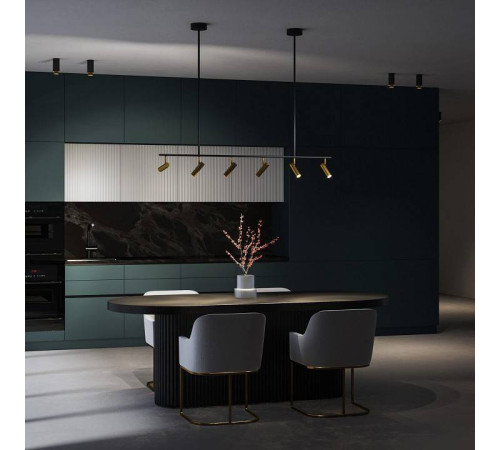 Светильник на штанге Eurosvet Epiphania 20252/6 LED черный/латунь