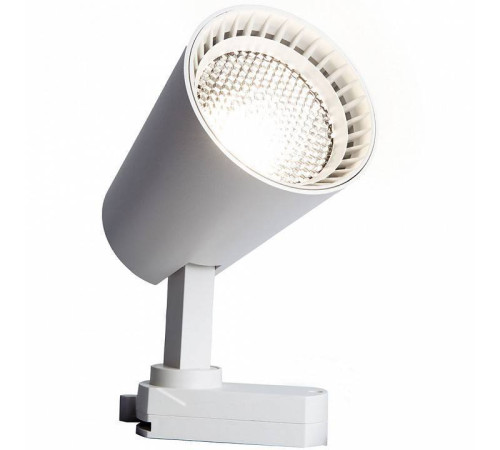 Светильник на штанге Feron AL100 41605