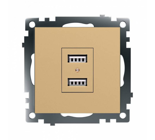 Розетка USB, без рамки Stekker Катрин 49229