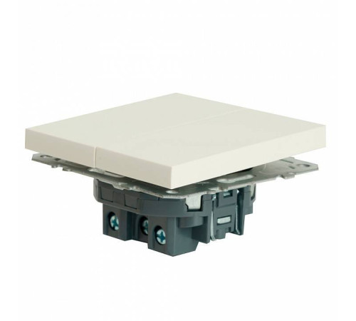 Выключатель двухклавишный без рамки Stekker RSW10-5104-01 49866