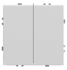 Выключатель двухклавишный без рамки Stekker RSW10-5107-01 49869