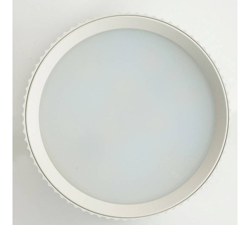 Накладной светильник Feron HL458 51670