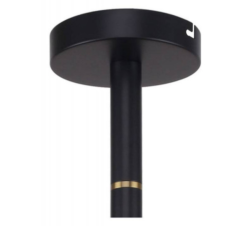 Люстра на штанге Favourite Eternity 2766-12P