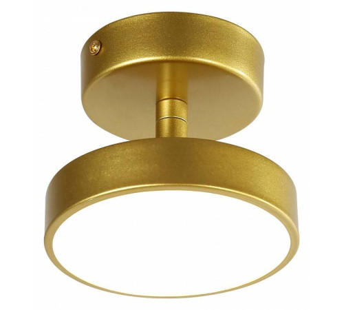 Светильник на штанге F-promo Atma 3059-1P