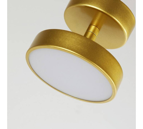 Светильник на штанге F-promo Atma 3059-1P