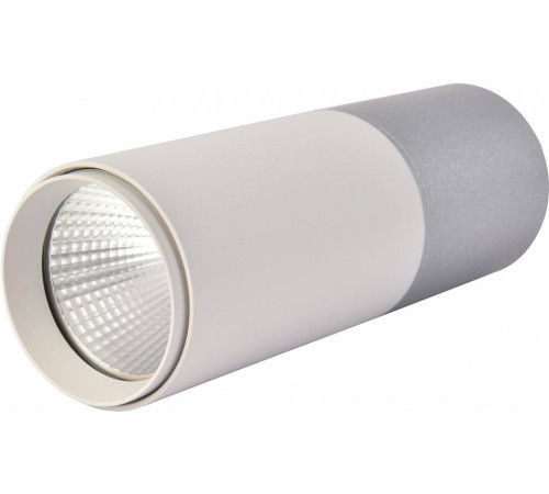 Накладной светильник Favourite Deepak 3071-1C