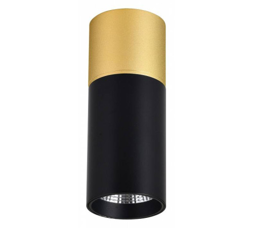 Накладной светильник Favourite Deepak 3074-1C