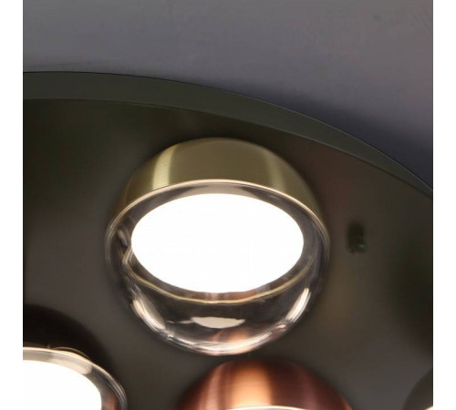 Потолочная люстра Favourite Luna 4371-12C