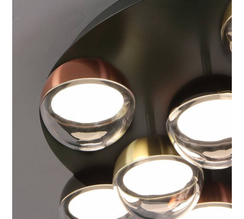 Потолочная люстра Favourite Luna 4371-12C