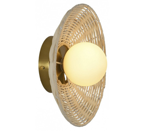 Накладной светильник Favourite Trenza 4836-1W