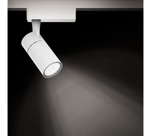 Светильник на штанге Gauss Track Light TR059
