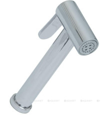 Гигиенический душ Allen Brau Priority хром 5.31028-00