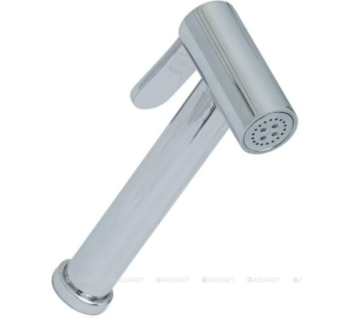 Гигиенический душ Allen Brau Priority хром 5.31028-00