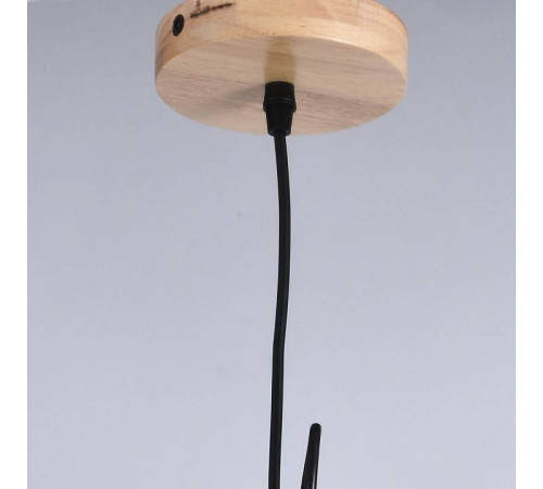 Подвесной светильник ILLUMICO IL1011-1P-05 BK