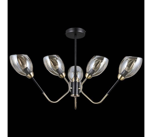 Люстра на штанге ILLUMICO IL9960-6CSQ-79 BK AB