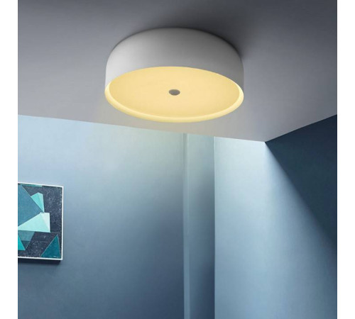 Накладной светильник Imperiumloft CYLINDER B CYLINDER01