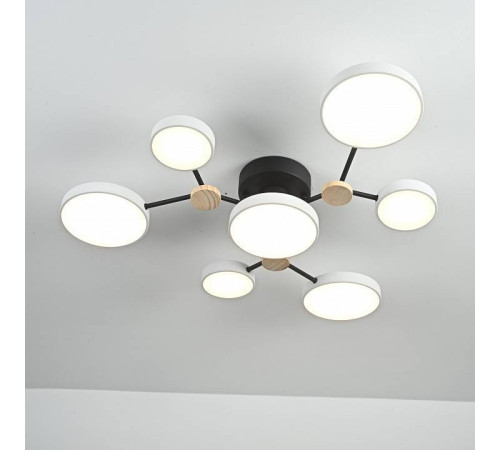 Потолочная люстра Imperiumloft GAMMA gamma01