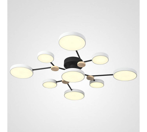 Потолочная люстра Imperiumloft GAMMA gamma01