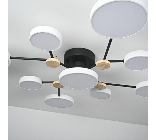 Потолочная люстра Imperiumloft GAMMA gamma01