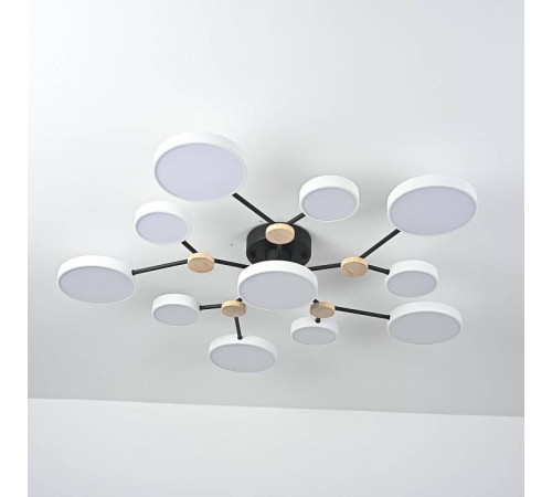 Потолочная люстра Imperiumloft GAMMA gamma01