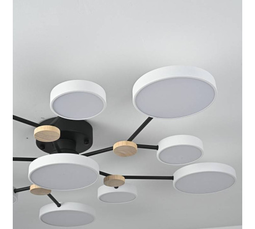 Потолочная люстра Imperiumloft GAMMA gamma01