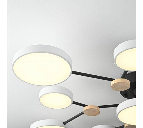 Потолочная люстра Imperiumloft GAMMA gamma01