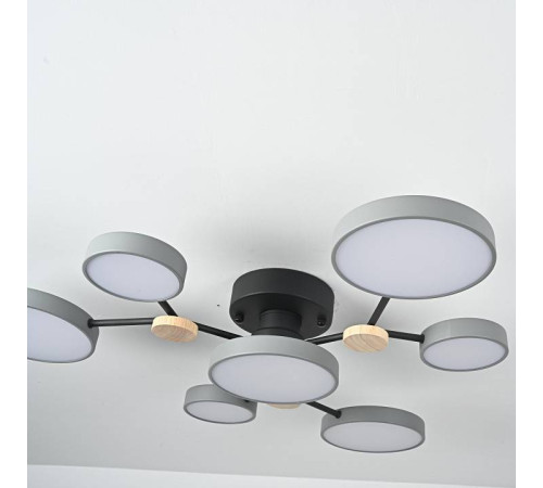 Потолочная люстра Imperiumloft GAMMA gamma01