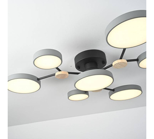 Потолочная люстра Imperiumloft GAMMA gamma01