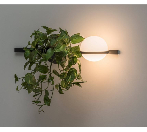 Бра Imperiumloft Palma 22,93726