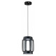 Подвесной светильник Indigo Capsula 14027/2P Black