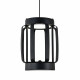 Подвесной светильник Indigo Capsula 14027/6P Black