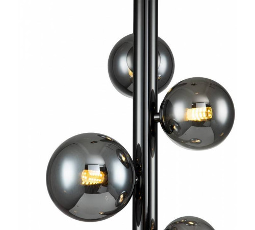 Подвесная люстра Indigo Canto 11026/5P Black