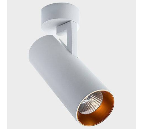 Кольцо декоративное Italline Ring Ring for 15W gold