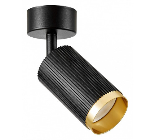 Спот Lampit RIN TS TK10-C1 BK+GD
