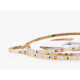 Лента светодиодная LEDS POWER STANDART 006048