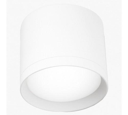 Накладной светильник LEDS POWER SPOT 009360