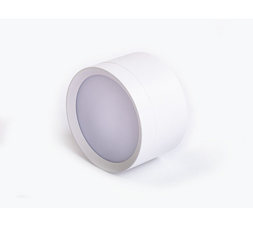 Накладной светильник LEDS POWER SPOT 009384